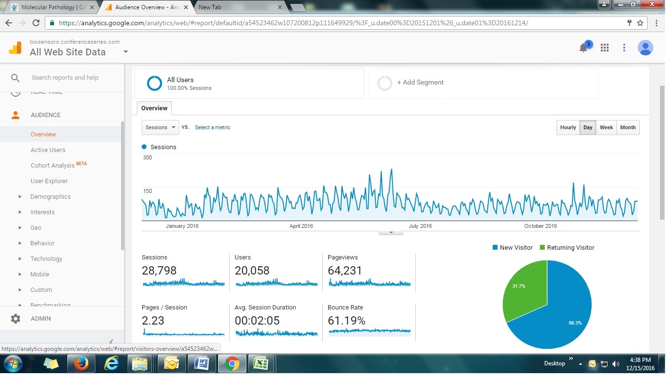 Visitor Analysis Report